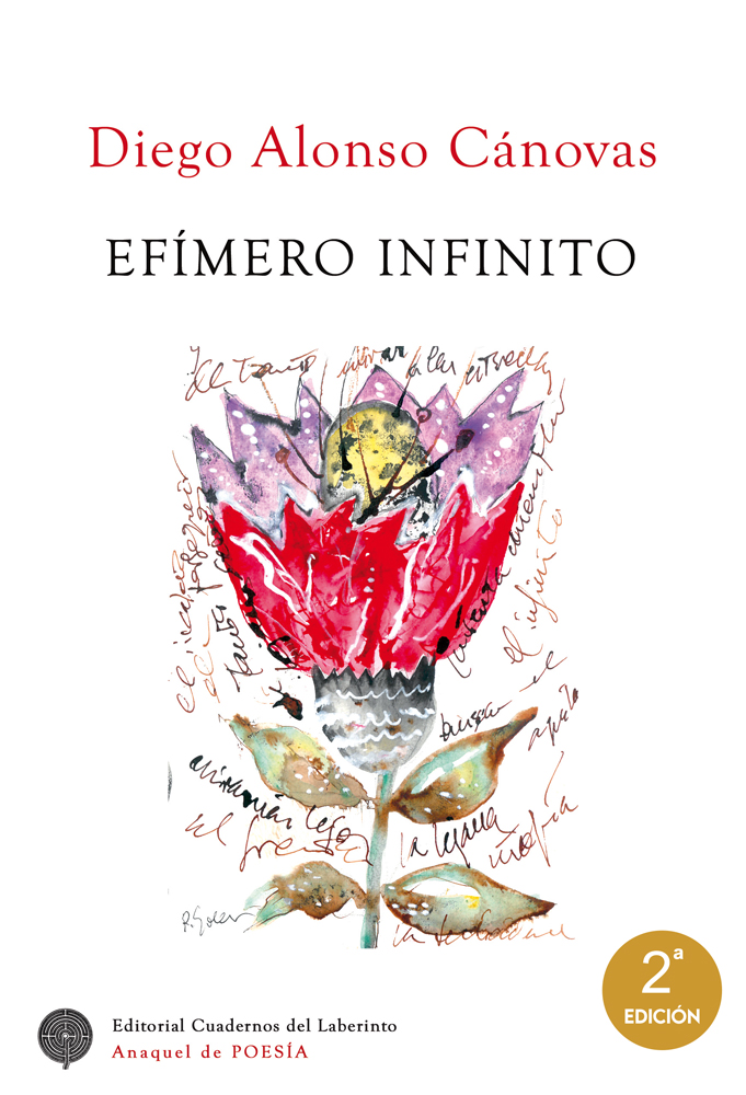 Portada de Efímero infinito