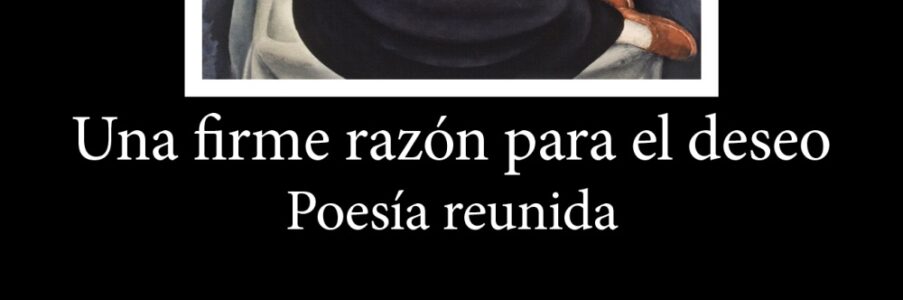 ‘A la orilla de un pozo’, reseña de Rubén Castillo